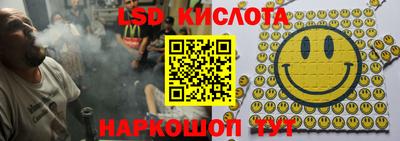 шишки Брянск