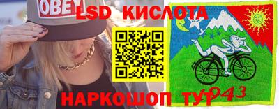 дмт Бердск